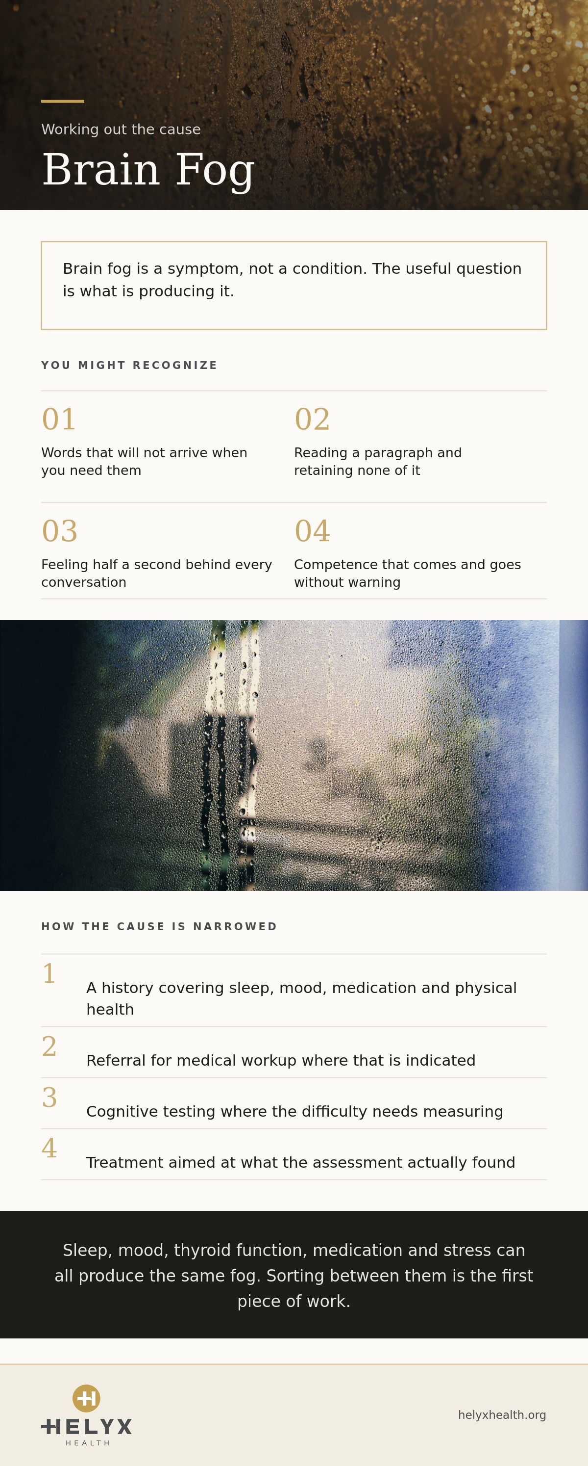 Brain fog evaluation at Helyx Health, showing what to expect and what care involves